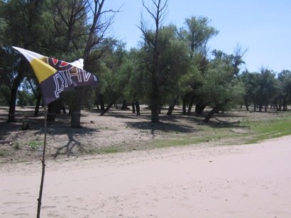 [IMG_8051.jpg]