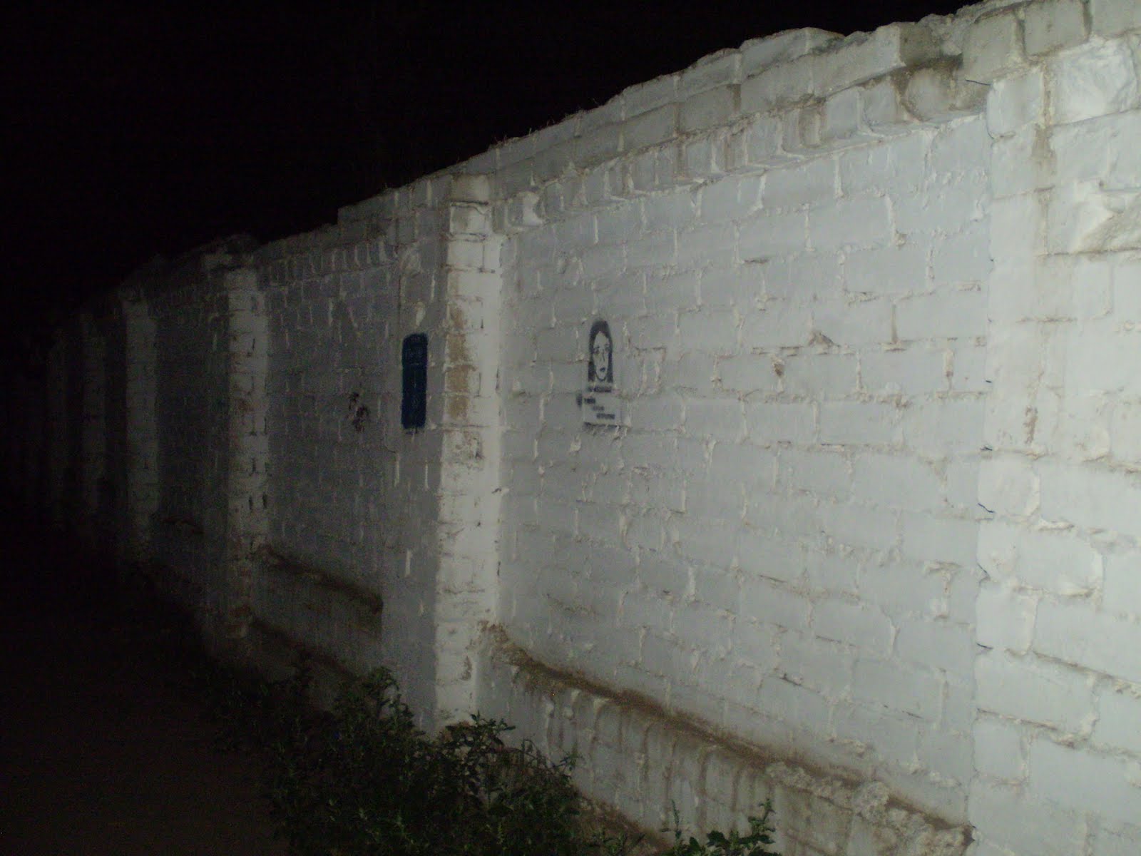 [P1010083.JPG]