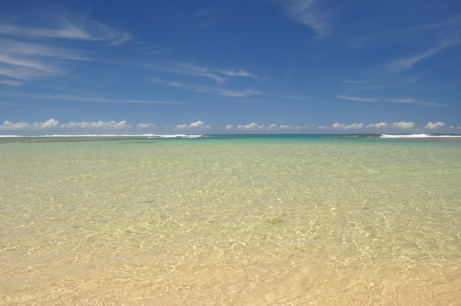 Fly Fishing Adventures Kauai on the fly