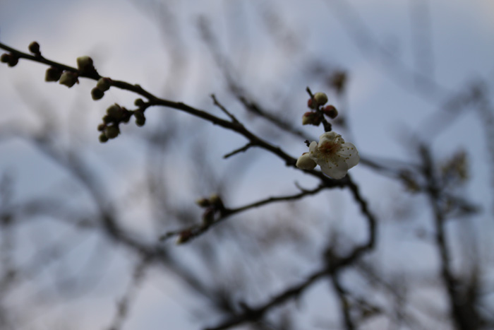 [20100131_02.jpg]
