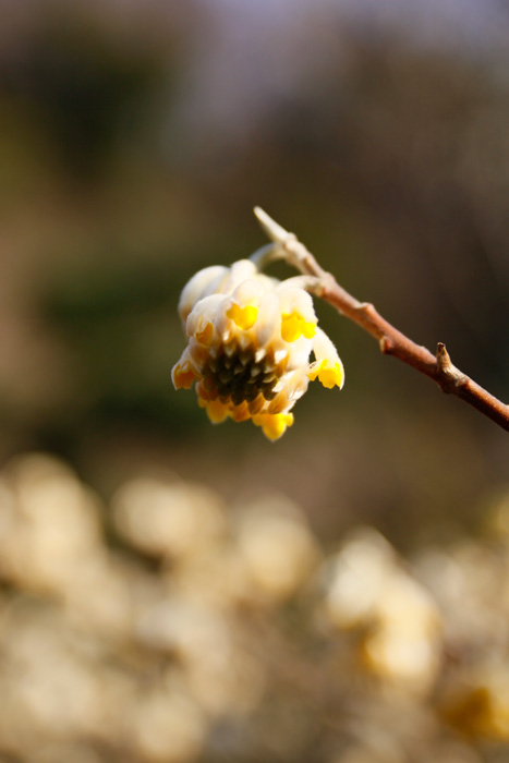 [20100228_02.jpg]