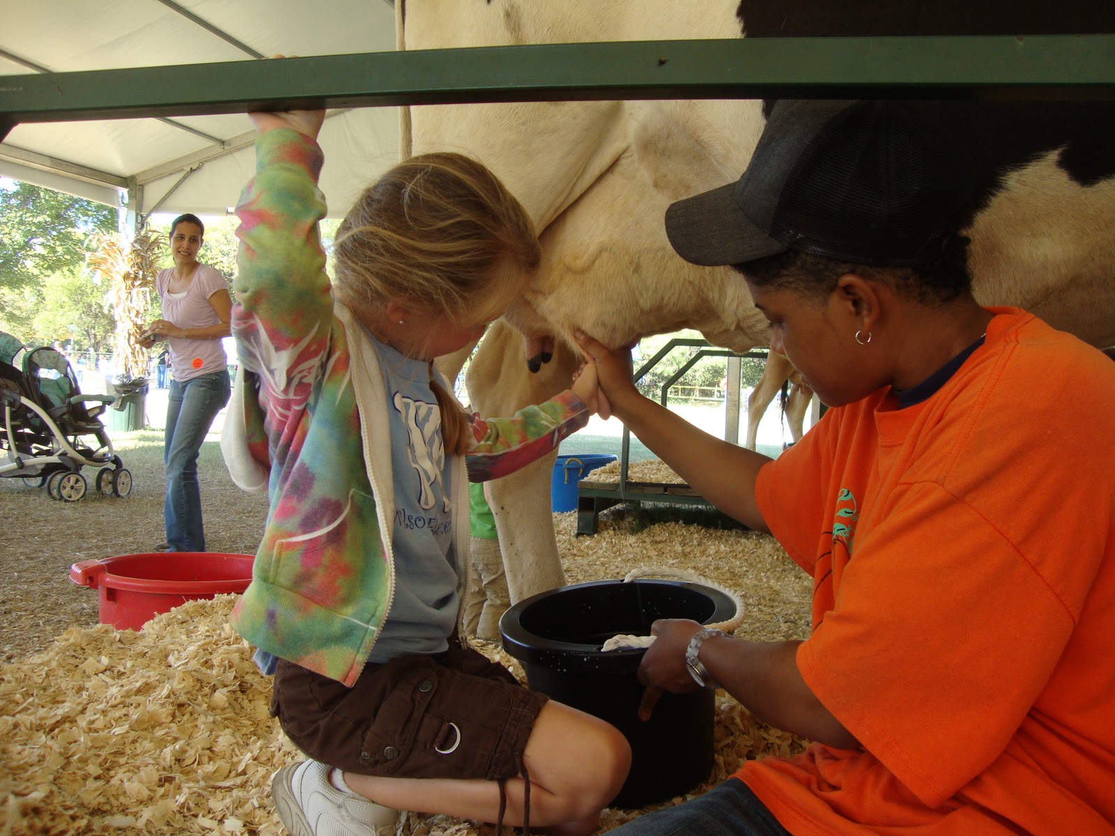The Huff Family Green Meadows Farm