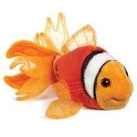 Clown Fish