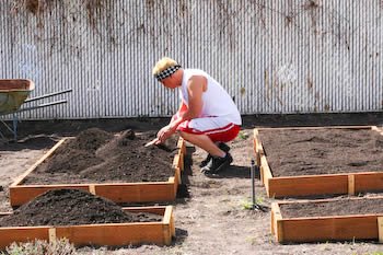 [matt-spreading-soil.jpg]