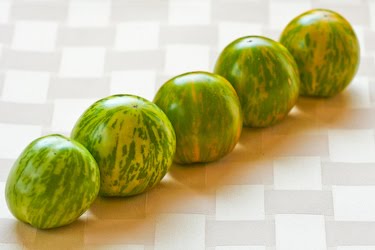 [Green-Zebra-6-kalynskitchen.jpg]