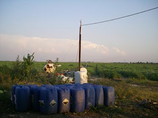 Taniche d'acqua davanti a un campo di pomodori
