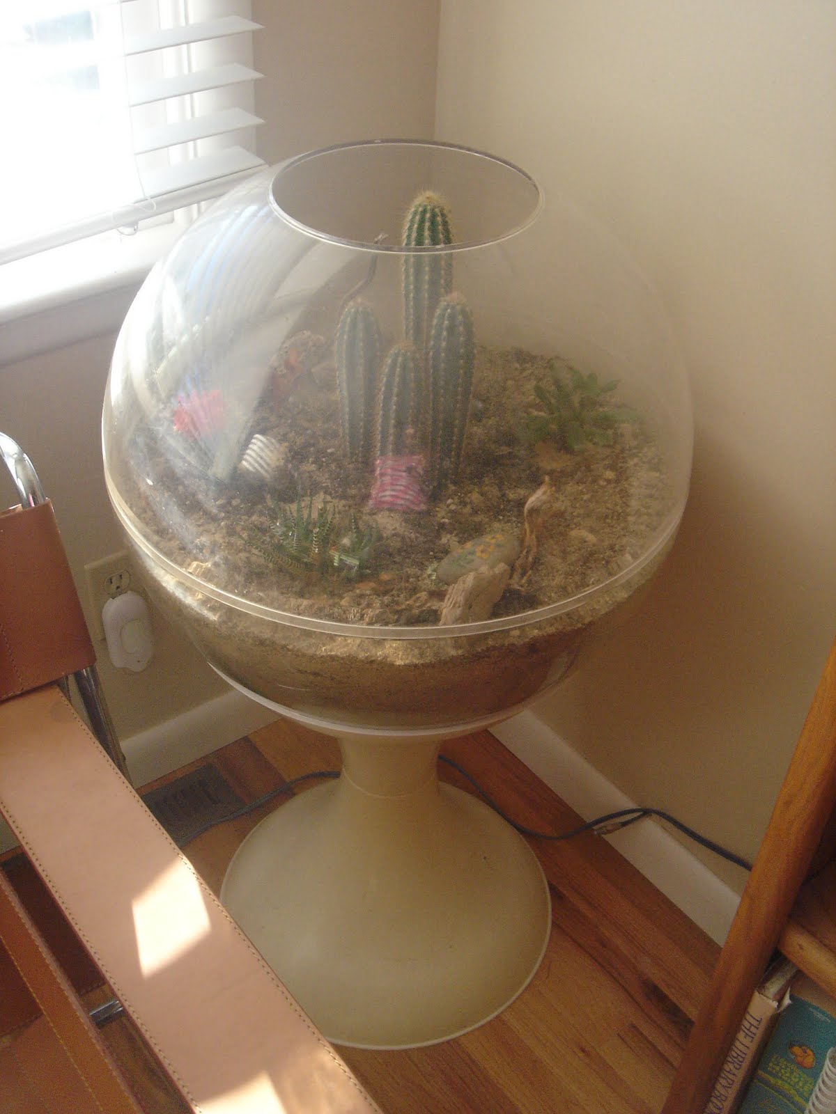 DOIN' IT ALL, IDAHO STYLE STYLE 1970s Terrarium