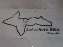 Lakeshore Bike