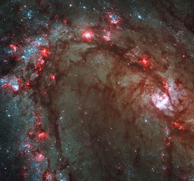 Hubble witnesses the splendor of Starbirth in Spiral Galaxy M83