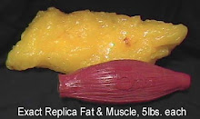 Muscle vs. Fat