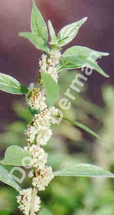 [YAPÄ°SKANOTU.jpg]