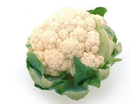 [karnabahar-large.jpg]