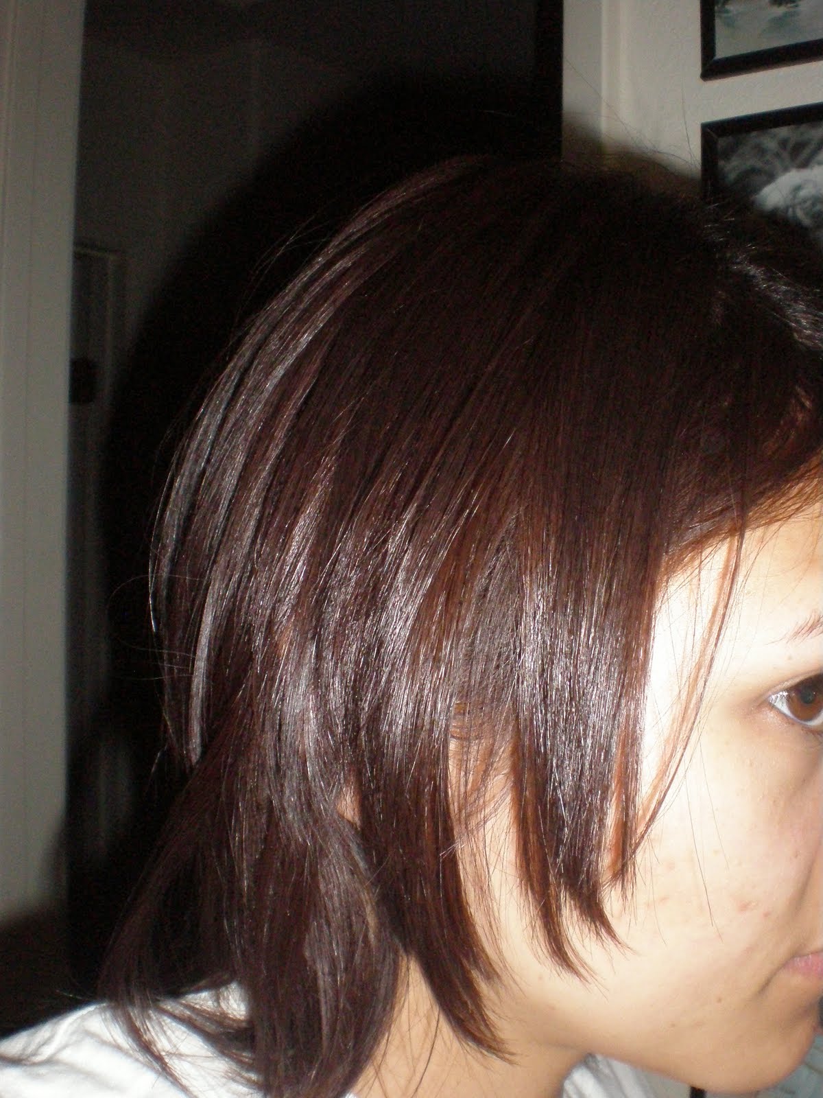 Garnier Hair Color Dark Mahogany Brown Hair Color