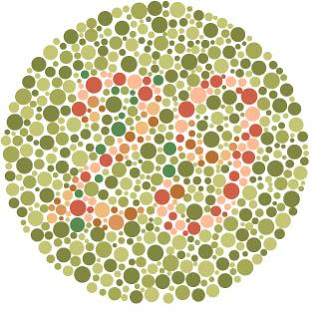 ishihara color blindness test
