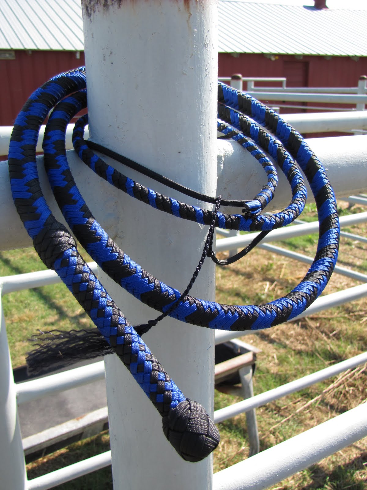 happy-cracking-ryan-s-nylon-whip-blog-bullwhip-pictures
