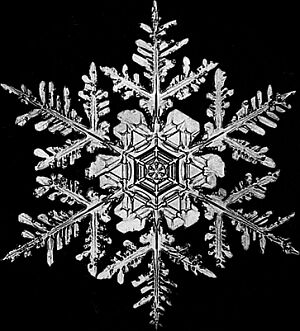 [snowflake.jpg]