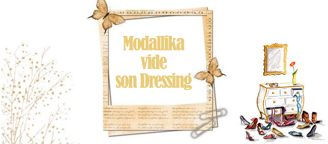 Le vide dressing de Modallika