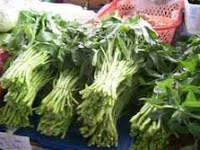 kangkung