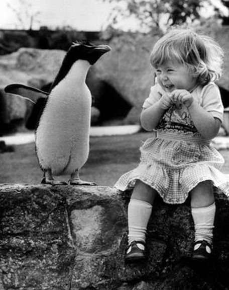 [Girl&Penguin.jpg]