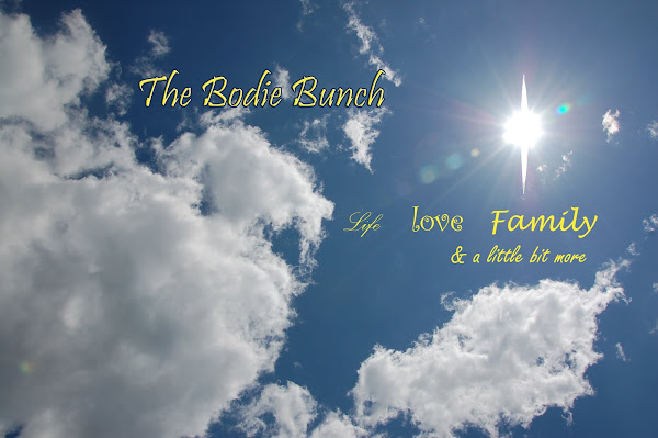 the Bodie Bunch