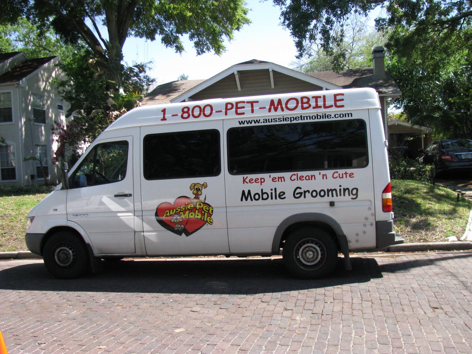 dog-cat-horse-grooming-tips-aussie-pet-mobile