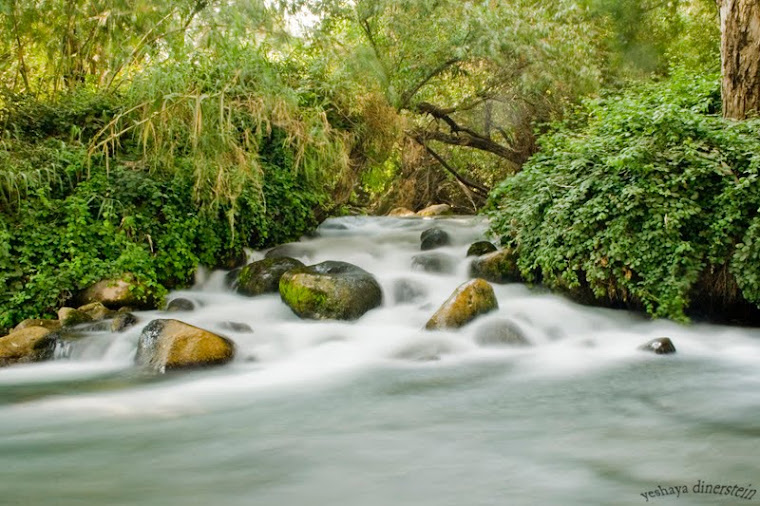 Dan River Israel