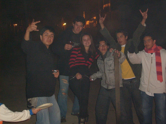 DESPIDIENDO AL AÑO 2008