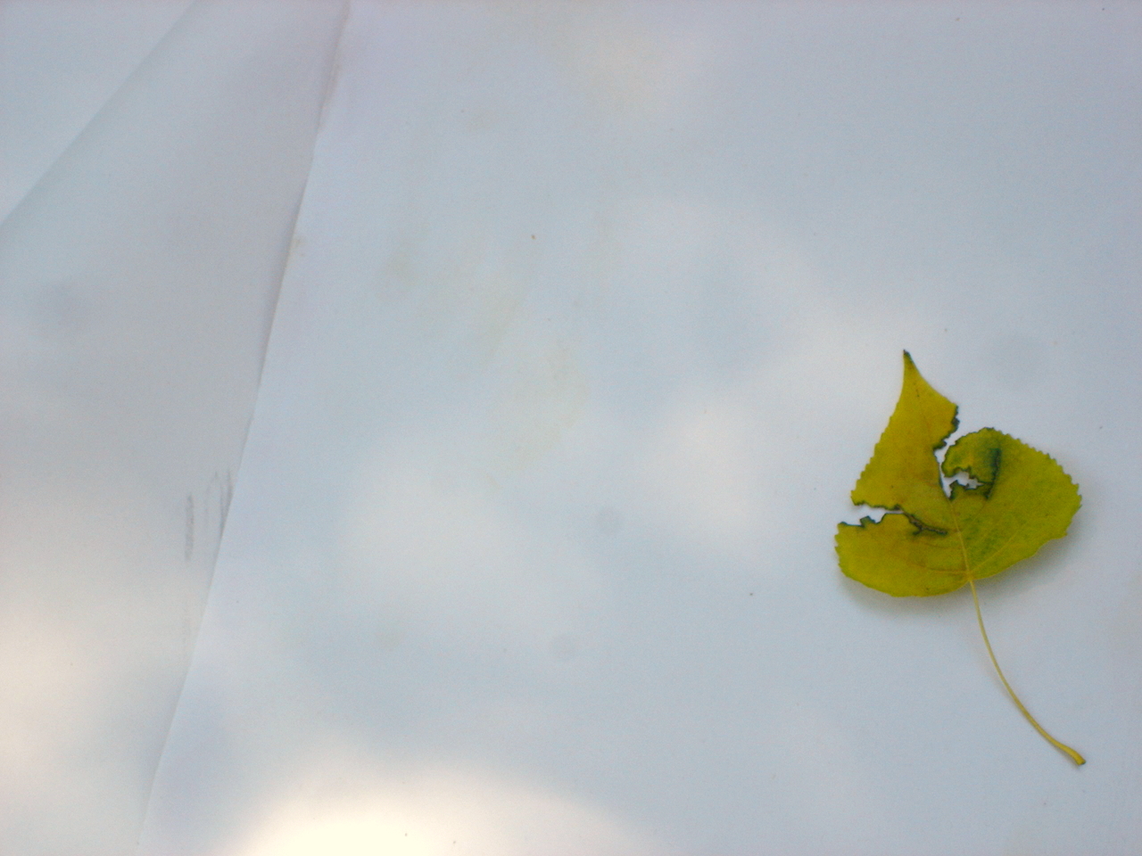 [junho+9+07+018.jpg]