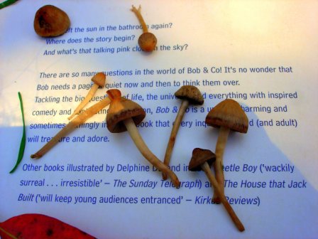 [julho+2+07+014-42.jpg]