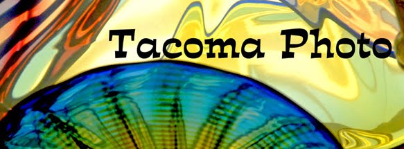 Photo a Day: Tacoma