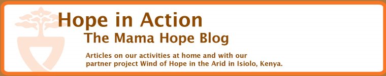 Hope in Action: The Mama Hope Blog