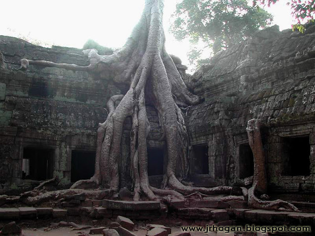 Ta Prohm Temple in Cambodia Angkor Ta Prohm Temple
