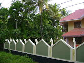 Compound wall