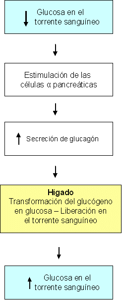 Cuando se trata de perder peso, sabemos que no hay resultado positivo sin sacrificio.