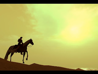 DAILY PHOTOGRAPHY: Virtual Horse Riding