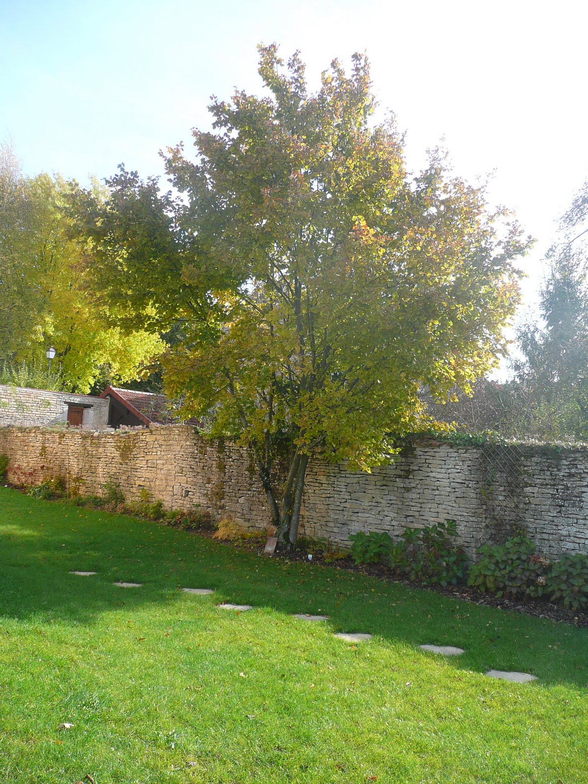 Notre Jardin Secret Arbustes Et Compagnie