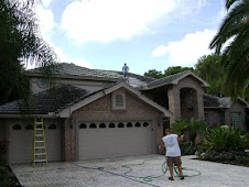 During Safe Non Pressure Roof Cleaning and Soft Wash Exterior Cleaning!