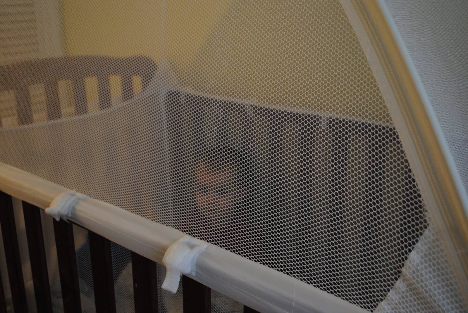 Laughing & Learning Crib Tents