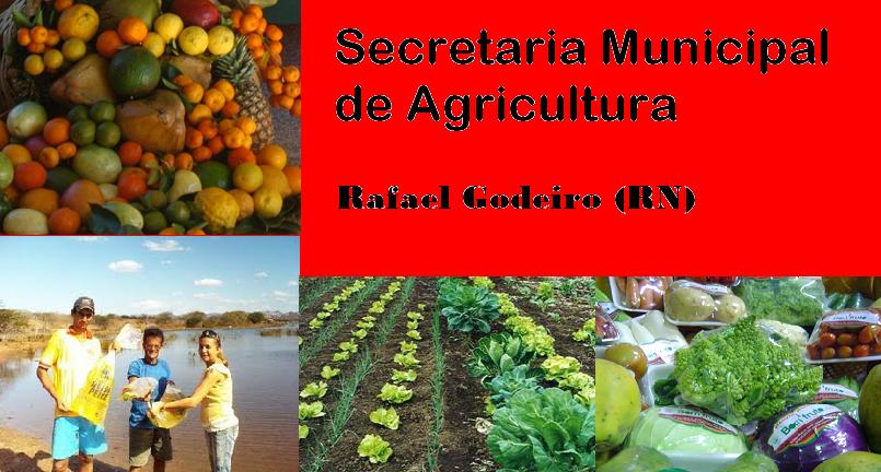 SECRETARIA DE AGRICULTURA DE RAFAEL GODEIRO - RN