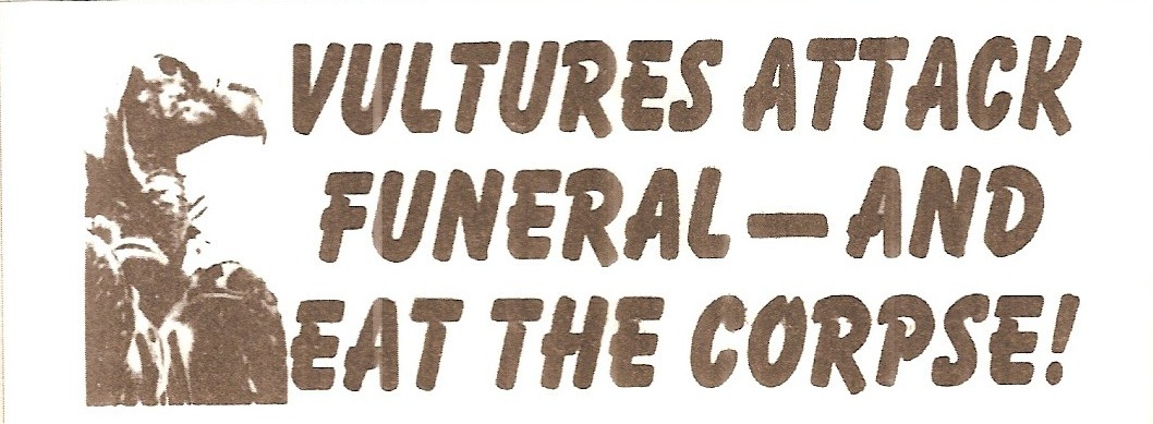 cultureshock530.com!