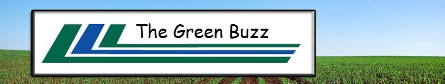 The Green Buzz: Walmart Green Forklifts