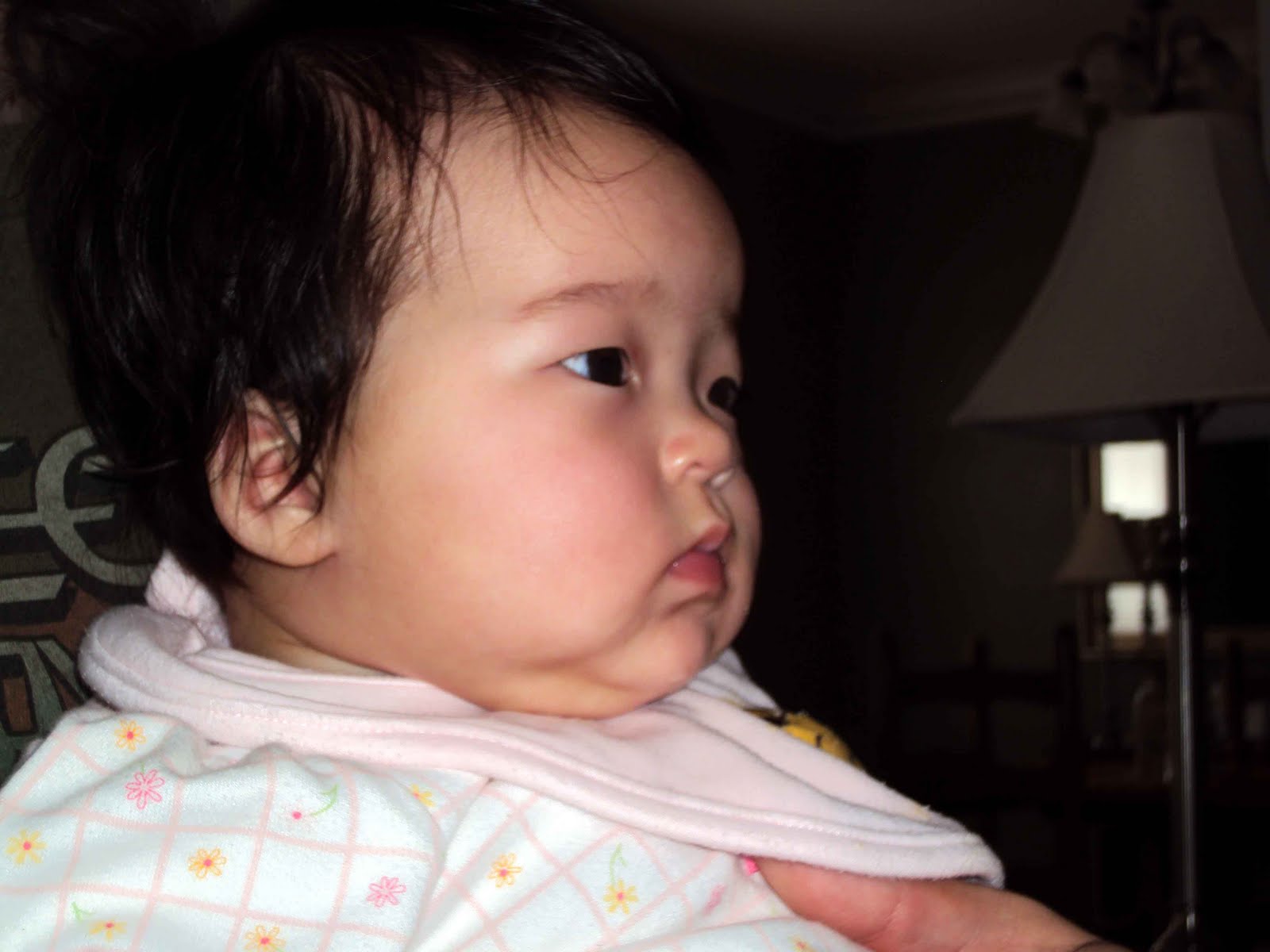 All Things Katy Baby Einstein Videos All things katy baby einstein videos