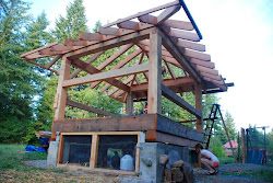 chicken coop frame timber basement bottom inside open wire water farm doors
