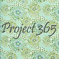 Project 365 Nov-Dec