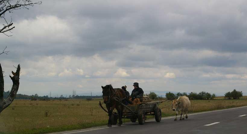 [wagon+traveling+uman+ukraine.jpg]