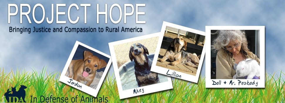Hope Animal Sanctuary