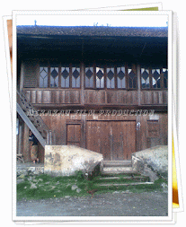 SEJARAH PULAU BERINGIN