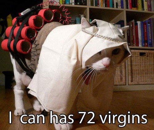 [72+virgins.jpg]