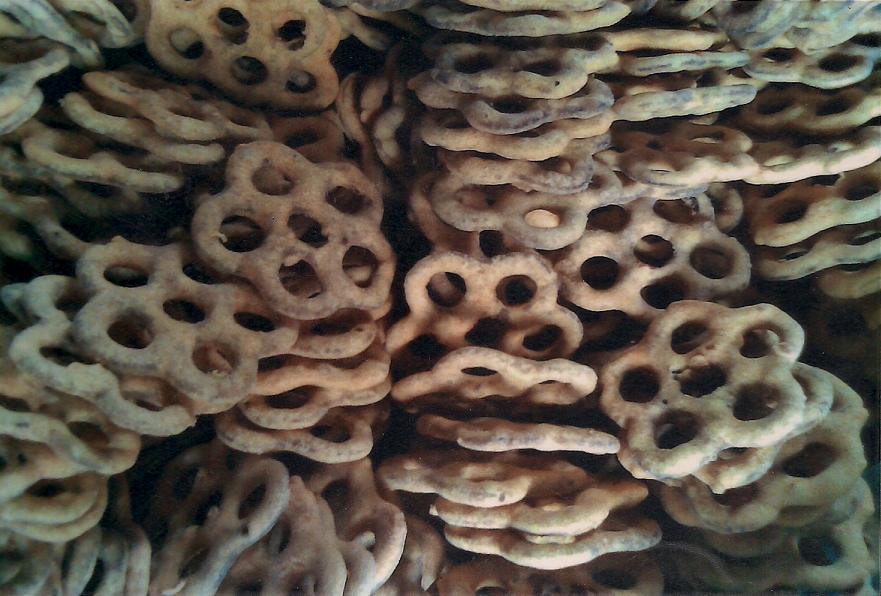 KUIH KERING CT MAR KUIH CINCIN