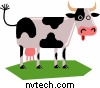 [cow.jpg]